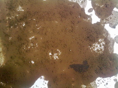 16042012191.jpg