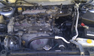 IMAG0183.jpg