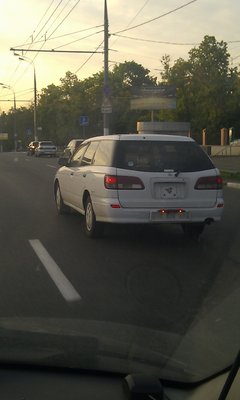 IMAG0100.jpg
