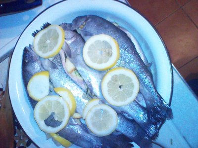 2012-05-24 21.56.14.jpg