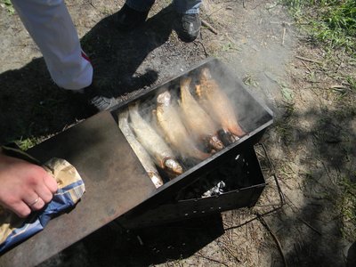 DSCN9236.jpg