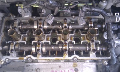 IMAG0229.jpg