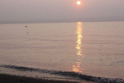_MG_7501.JPG