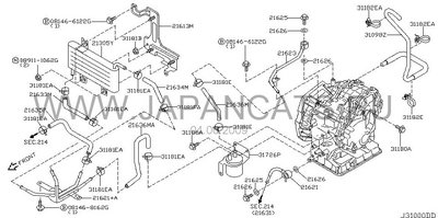 ef626475773b.jpg