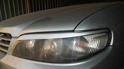 DSC01912.JPG