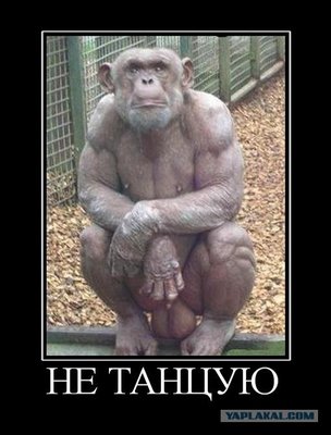 не танцую.jpg