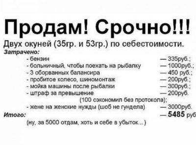 TV6qiLNyrTs.jpg