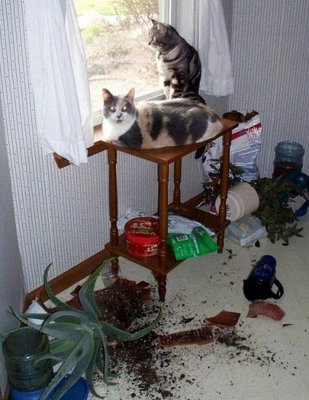 1362690036_animals_can_be_jerks_too_640_31.jpg
