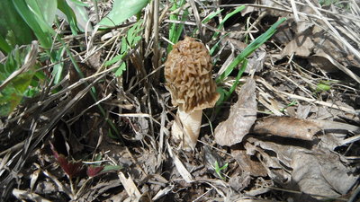 DSCF8263.JPG