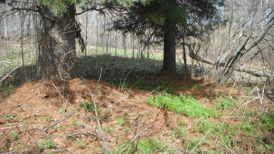 DSCF8258.JPG