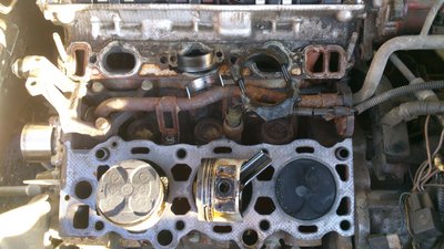 DSC_1154[1].jpg