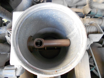 DSCN8046.JPG