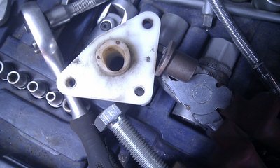 IMAG0556.jpg