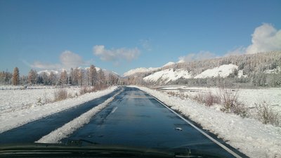 DSC_1665[1].JPG