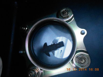DSCN1231.JPG