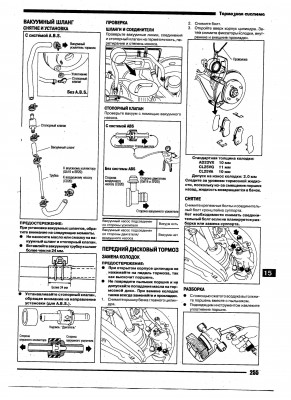 File255.jpg
