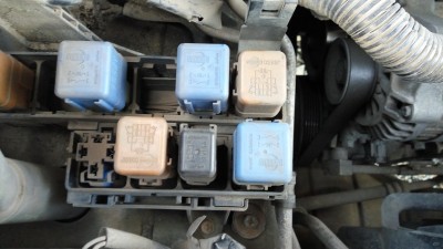 IMG_20160822_174043.jpg
