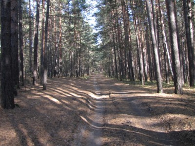 169.jpg