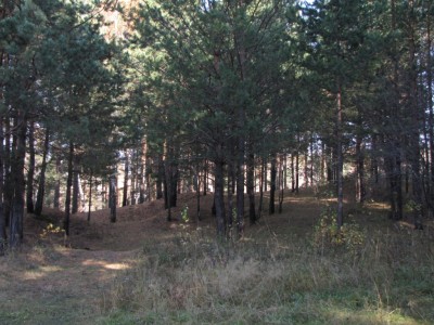 135.jpg