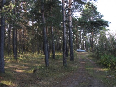 136.jpg