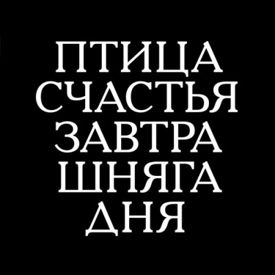 шняга.jpg