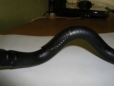 IMGP2640.JPG