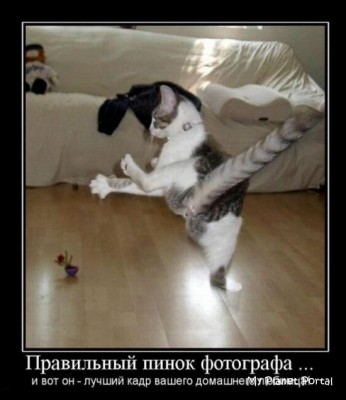 1261330605_1261256893_demotivator_601.jpg