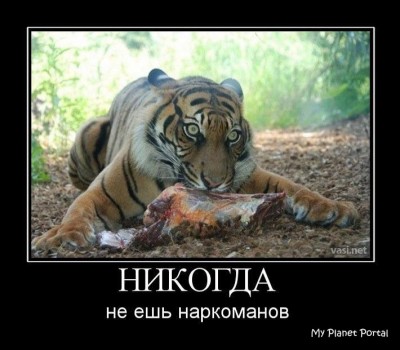 1261330640_1261256921_demotivator1391.jpg