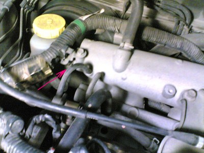 21022010.jpg