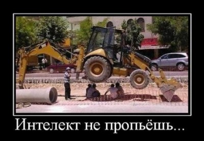 222.jpg