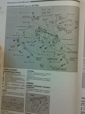 08092010816.jpg