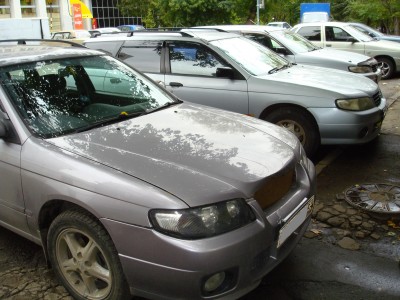DSC08022_инк1.JPG