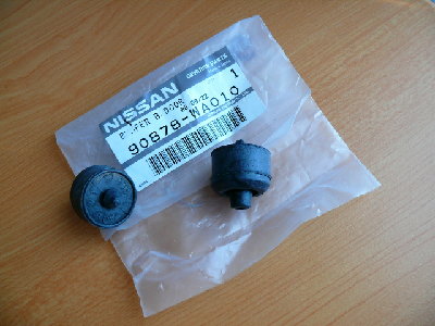 P1010012.JPG