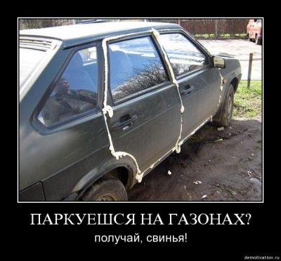 s3img_8916115_4462_1.jpg