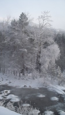 100_4068.JPG