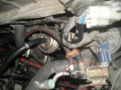 PA280001.JPG