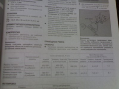 23122010.jpg
