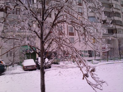 26122010370.jpg