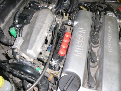 P1010116.JPG