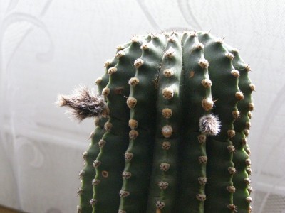 P7280003.JPG