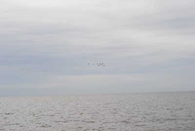 DSC_0670s.jpg